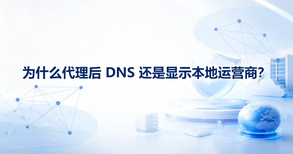 为什么代理后 DNS 还是显示本地运营商？