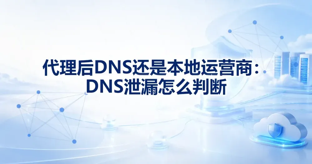 代理后 DNS 还是本地运营商：DNS 泄漏怎么判断