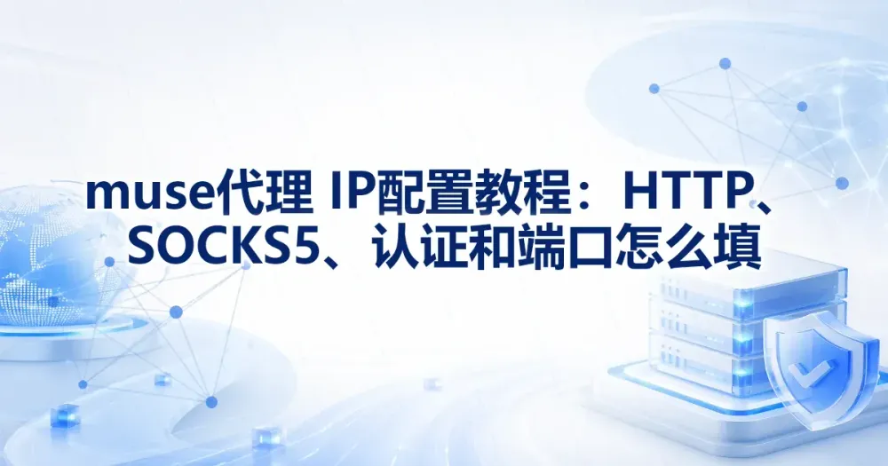 Meta Muse 客户端网络检查:代理参数与验证边界